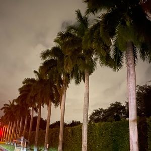 Meet your Posher, Madina